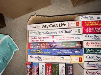 ALL SORTS OF 'CHICKEN SOUP FOR THE SOUL" BOOKS