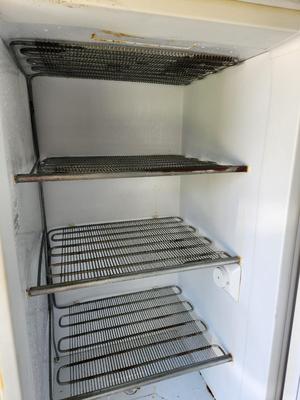 Lot #159 Frigidaire Garage Freezer - works great!