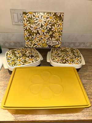 VINTAGE DASIES BY THERMO-SERVE 2qt INSULATED SERVING DISHES AND RUBBERMAID CONTAINER