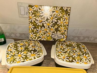VINTAGE DASIES BY THERMO-SERVE 2qt INSULATED SERVING DISHES AND RUBBERMAID CONTAINER