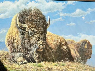 1993 “ONCE WE WERE MANY” BY ARTIST LEE CABLE PRINT 188/500