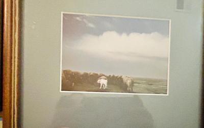 BEAUTIFUL SCENIC ARTWORK