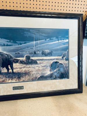“THE HIDDEN VALLEY” BY NANCY GLAZIER 594/750