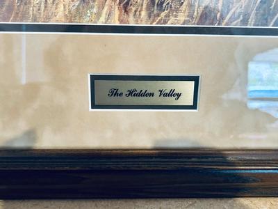 “THE HIDDEN VALLEY” BY NANCY GLAZIER 594/750