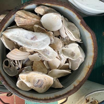 P1021 Lot of Three Enamel Buckets, One with Shells