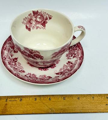 Royal Staffordshire Collectible Teacup and Saucer