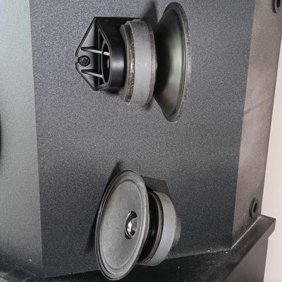 LOT 21: Bose 301 Series III Direct/Reflecting Speaker System Untested
