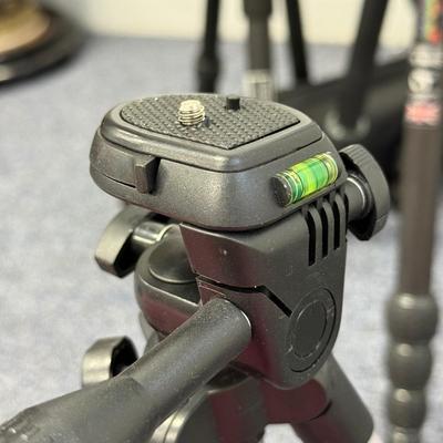 LOT 145: Three Tripods: 3 Legged Think Punks Brian, Proline, Calumet