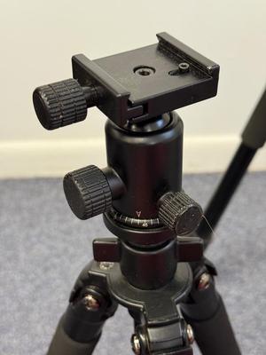 LOT 145: Three Tripods: 3 Legged Think Punks Brian, Proline, Calumet