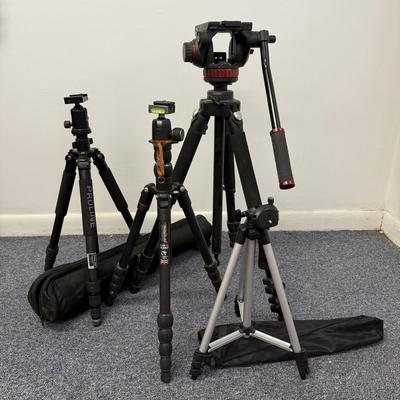 LOT 145: Three Tripods: 3 Legged Think Punks Brian, Proline, Calumet