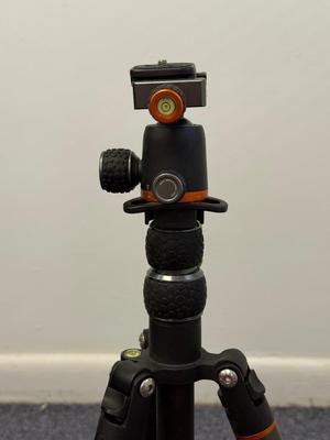LOT 145: Three Tripods: 3 Legged Think Punks Brian, Proline, Calumet