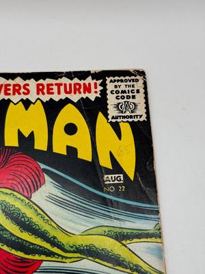 LOT 155: Collection of c. 1970s DC Aquaman Comics