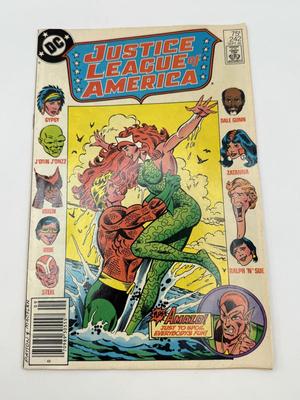 LOT 160: Varied Collection of DC Comics: Dolphin, Jonah Hex, Legion Super Hero and More