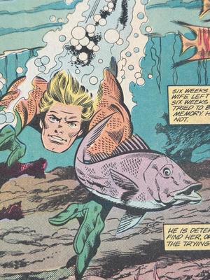 LOT 160: Varied Collection of DC Comics: Dolphin, Jonah Hex, Legion Super Hero and More