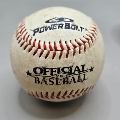 LOT 220: Variety of Signed Baseballs, Hershey Baseball, and Orioles Baseball