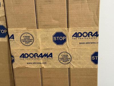 LOT 229: Photography Backdrops, Dracast & On Stage Light Stands
