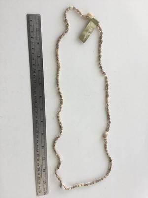 Hilo Hattie’s marked shell necklace