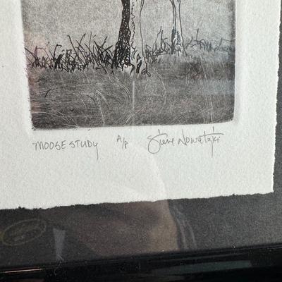 Framed Art - "Moose Study" by Steve Nowatzki - ARTIST'S PROOF