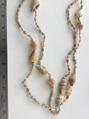 Seashell statement necklace