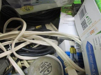 Assortment Of Light Bulbs