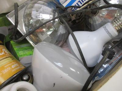 Assortment Of Light Bulbs