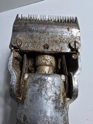 horse grooming tools