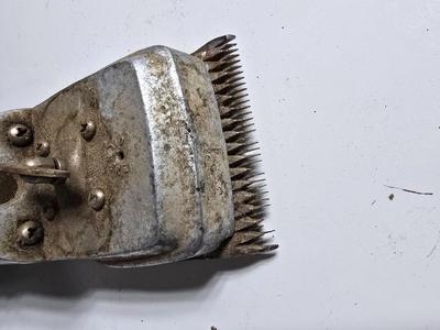 horse grooming tools