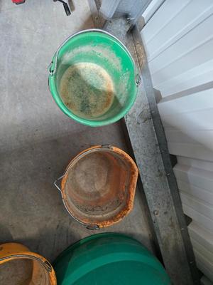 Plastic Livestock Feed Buckets – Mixed Colors