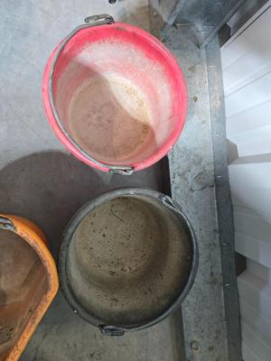 Plastic Livestock Feed Buckets – Mixed Colors