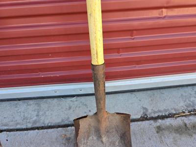 Yard Tools & Tarp Lot