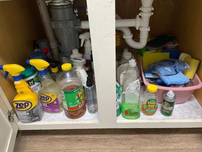 Kitchen cleaning supplies