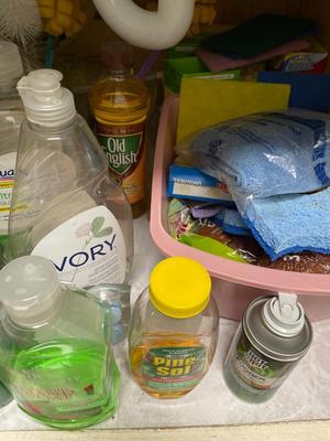 Kitchen cleaning supplies