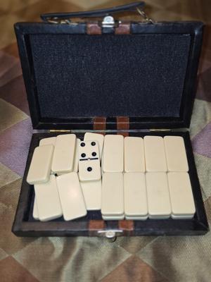 Dominos Set in Case