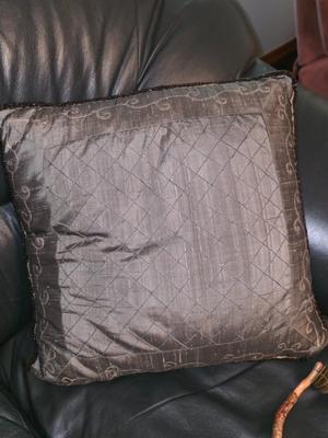 Pair of Matching Throw Pillows