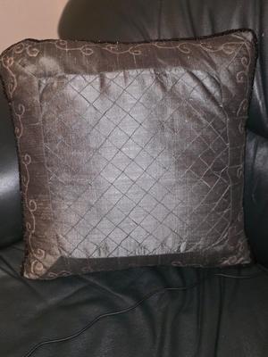 Pair of Matching Throw Pillows