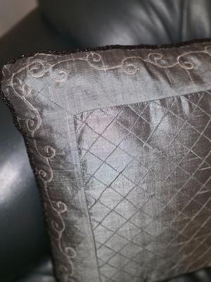 Pair of Matching Throw Pillows