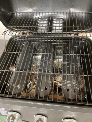 DynaGlo gas grill