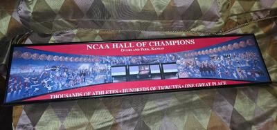 NCAA Hall of Champions.