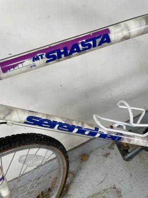 Mt Shasta Serengheti bicycle