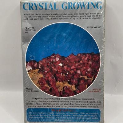 LOT 112: 2025 Astrology Calendar, Crystal Growing Kit, and Various Rocks and Crystals