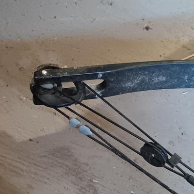 LOT 136: York S-T-O Compound Bow