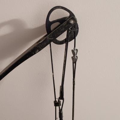 LOT 136: York S-T-O Compound Bow