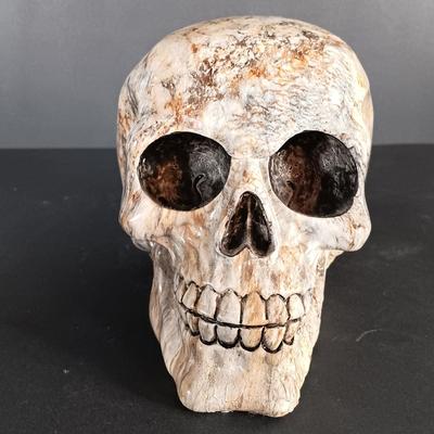 LOT 150: Skull and Fantasy Related Decor