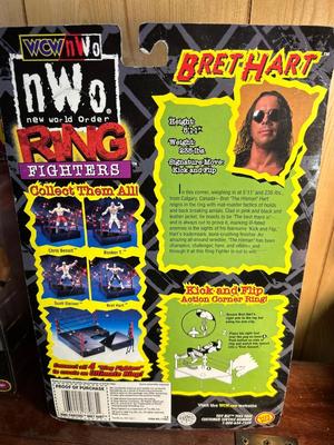 1999 WCW/NWO & WWF WRESTLING ACTION FIGURES