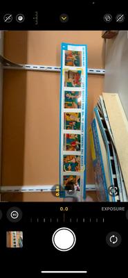 1961 PULL A SHOW PROJECTOR SLIDES AND FISHER PRICE PULL TOY PELICAN