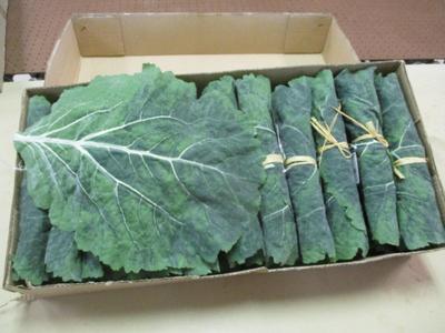 24 Cabbage Leaf Place-mats Raz Imports