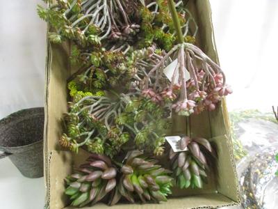 Array Of Faux Flowers & Plants