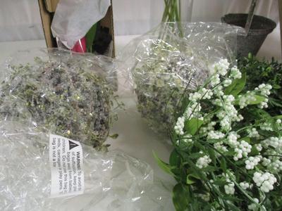 Array Of Faux Flowers & Plants