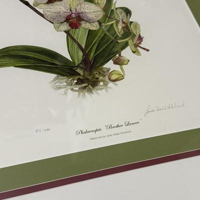 Linda Walsh Petchnik Framed Orchid Watercolor Prints (PB-HS)
