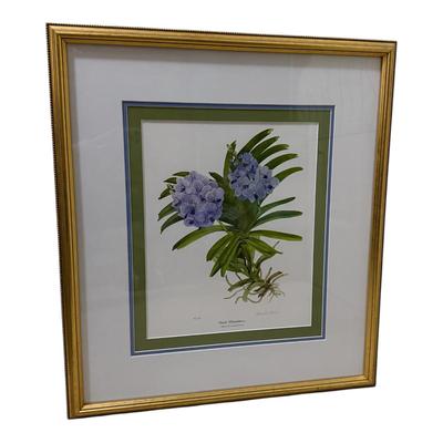 Linda Walsh Petchnik Framed Orchid Watercolor Prints (PB-HS)